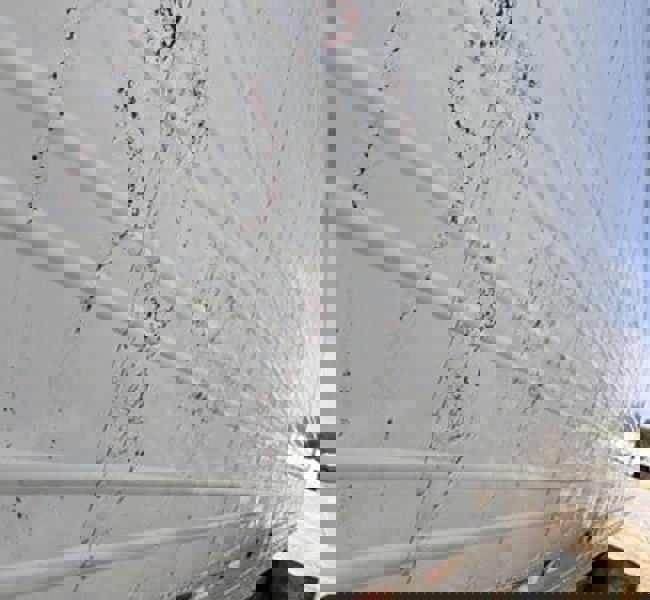 slide-2